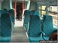 Interior of new class 334 at Polmadie Depot Open Day.<br><br>[Jeffray Wotherspoon //]