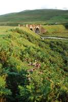 Two arch viaduct at Toddle Moss viewed from the west.<br><br>[Ewan Crawford 15/08/2004]