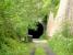 Taminurie Tunnel.Located between Craigellachie and Aberlour. The only tunnel on the old Speyside Line.<br><br>[John Gray //]