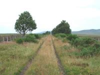 The trackbed looking towards Dava. The area is very bleak, the remains of snow fences here are approximately two miles long and are both sides of the trackbed. July 2006<br><br>[John Gray /07/2006]