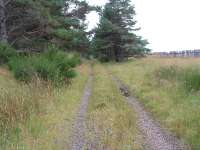 Dava Moor. Trackbed looking south. Snow fence on right. July 2006<br><br>[John Gray /07/2006]