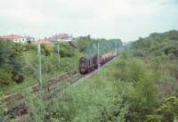 An EE Type 1 approaches the bridge under the East Kilbride line near Williamwood with a weedkiller train on 30 May 1965 with spraying in progress.<br><br>[John Robin 30/05/1965]