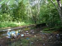 Part of the old platform looking towards Botanic Gardens.<br><br>[Colin Harkins 09/07/2006]