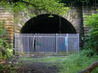 <h4><a href='/locations/B/Botanic_Gardens_Tunnel'>Botanic Gardens Tunnel</a></h4><p><small><a href='/companies/G/Glasgow_Central_Railway'>Glasgow Central Railway</a></small></p><p>Entrance to the tunnel leading to Botanic Gardens from Kirklee.  4/25</p><p>09/07/2006<br><small><a href='/contributors/Colin_Harkins'>Colin Harkins</a></small></p>