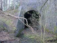 Disused Tunnel going under Innerleithen Rd.... This Tunnel is infilled at the opposite end<br><br>[Colin Harkins /03/2006]