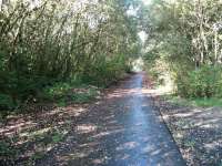 The site of Forest Mill station looking towards Alloa.  Rubble heaps on the left mark the down platform. <br><br>[Mark Poustie 23/09/2006]