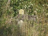 A surviving gradient post indicating the start of the lengthy descent to Kincardine Junction in the Alloa direction.<br><br>[Mark Poustie 23/09/2006]