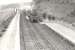 Arriving. 80005 at Arnage on up Buchan passenger train.<br><br>[G H Robin collection by courtesy of the Mitchell Library, Glasgow 15/05/1959]