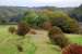 Looking east at the site of Camerton shrouded in trees.<br><br>[Ewan Crawford 27/09/2006]