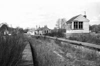 A view west at Carron of the station building, platforms and signalbox on 18 April 1977 with the track missing and the vegetation taking hold.<br><br>[John McIntyre 18/04/1977]
