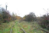 The largest pre-war yard in Europe reverts slowly to nature. Much of the yard is now an industrial estate and the GNRs route north is lifted beyond Gedling.<br><br>[Ewan Crawford 15/11/2006]