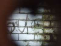 Looking through the hole in the wood covering up the lost void at Langside.<br><br>[Colin Harkins 26/02/2007]