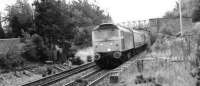 Caledonian Sleeper thunders through Moy.<br><br>[Brian Forbes //1989]