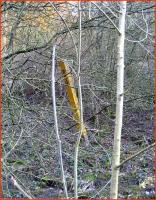 Surviving milepost in the undergrowth near Marton Junction in March 2007.<br><br>[John McIntyre /03/2007]