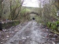 Looking back towards the tunnel at Bridgeton. Trees and rubbish are the only things adorning the platforms. This station cut deep into the surrounding land.<br><br>[Colin Harkins 29/03/2007]