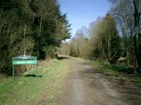 <B>FlandersMoss</B> Strathendrick & Aberfoyle Railway, now a walk through the Flanders Moss Forest.<br><br>[Alistair MacKenzie 04/04/2007]