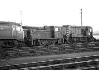 Ferryhill with 1632, D2444 and D3877 in the locomotive sidings. C. 1974.<br><br>[John McIntyre //1974]