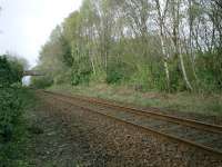 West Highland Line, Shandon Station site. Seconds later a deer bounded out of the trees and headed north along the line. I think it was the 5pm.<br><br>[Alistair MacKenzie 17/04/2007]