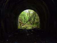 From within the tunnel looking back.<br><br>[Colin Harkins 22/04/2007]
