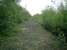 Caledonian Railway Lanarkshire and Dumbartonshire line, bridge over Agamemnon Street looking E.<br><br>[Alistair MacKenzie 04/05/2007]