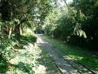 Petite Ceinture Railway, ran round periphery of Paris with branches to main stations. Photo in Parc des Buttes Chaumant showing view N from site of station Bellevilles Villette.<br><br>[Alistair MacKenzie 19/07/2007]