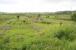 The station remains at Kirkcowan in May 2007, looking south west between the platforms towards Stranraer. Over on the right cattle now graze where they were once loaded into trucks. Photographed from the realigned road that now runs through the former station site.<br><br>[John Furnevel 31/05/2007]