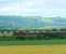 57601 takes the Royal Scotsman on its journey towards Perth.<br><br>[Brian Forbes 25/06/2007]