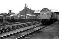Lineup at Ferryhill MPD in 1974.<br><br>[John McIntyre //1974]