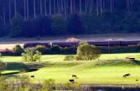 <I>Royal Scotsman</I> passing Dalguise on 4 October, taken from east of the River Tay.<br><br>[Brian Forbes 04/10/2007]