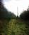 The trackbed towards Edinkillie, and the Divie Viaduct!<br><br>[Matt Jolley /4/2007]