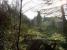 View along the trackbed before entering Dunphail station.  There was a signal and overbridge near this location.<br><br>[Matt Jolley /4/2007]