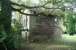 The surviving signal box at Kippen, hiding amongst the trees on 11 October 2007 alongside the former level crossing. <br><br>[John Furnevel 11/10/2007]