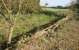 <I>Stand well back from the edge of the platform</I> ...otherwise it might collapse! Looking over the wooden platform remains at Balado on 23 October. View east towards Kinross. <br><br>[John Furnevel 23/10/2007]