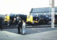 Deltics D9000 <I>Royal Scots Grey</I> and 55019 <I>Royal Highland Fusilier</I> on display at the Haymarket MPD open day on 24 August 1985.<br><br>[David Panton 24/08/1985]