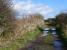 Goods loading bank alongside Balado station in October 2007. After WW2 Fleet Air Arm planes were broken up and then transported from here as scrap until 1952.<br><br>[Brian Forbes 28/10/2007]