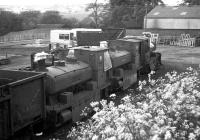 Three ex-Aberdeen Gasworks 0-4-0 tank engines stored in the southwest corner of Ferryhill MPD in 1973. Left to right are <I>Bon Accord, Mr Therm</I> and <I>No 3</I>. [See image 12565]<br><br>[John McIntyre 03/06/1973]