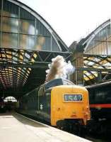Deltic Preservation Society 9019 <I>Royal Highland Fusilier</I> clears its throat as it starts a railtour out of Kings Cross on 7 June 2003.<br><br>[Colin Alexander 07/06/2003]