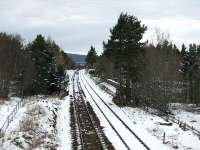 The passing loop at Moy in March 2008. The remains of the station platforms are just beyond the two large trees in the centre of the photograph.<br><br>[John Gray 25/03/2008]