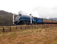 60007 <I>Sir Nigel Gresley</I> leaving Levisham on 30 March 2008 with a train on the NYMR.<br><br>[Peter Todd 30/03/2008]