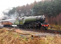 4771 <I>Green Arrow</I> with a train near Levisham on the NYMR on 30 March.<br><br>[Peter Todd 30/03/2008]