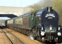 <I>The North Briton.</I> 60009 <I>Union of South Africa</I> pulling 12 coaches at Carmyle on 15 April.<br><br>[Colin Harkins 15/04/2008]