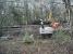 Ongoing work on the West Highland Line at Shandon on 2 March with the rails removed over the blocked culvert and the water pumped away prior to its replacement. Some culverts hereabouts are particularly lengthy as they also run under the embankment of the adjacent military line.<br><br>[John Robin 02/03/2008]