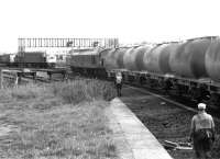 View north from the old excursion platform at Holgate Junction, just south of York station, in July 1980. 46040 has just taken the station avoiding line at the junction with a load of tanks, while 40184 is held at signals waiting to join the main line.<br><br>[John Furnevel 21/07/1980]