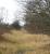 View west along the trackbed of the S&D towards the site of Kincardine Junction on 27 March 2008, showing the newly installed signal standing at the east end of Alloa loop. Mr Rabbit appears less than impressed that someone has left the light on. <br><br>[John Furnevel 27/03/2008]