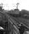 The SRPS special 'The West Highland Express' from Falkirk to Mallaig on 04 August 1973 at Geilston level crossing west of Cardross. The coach next to the engine is the preserved CR brake composite.<br><br>[John McIntyre 04/08/1973]