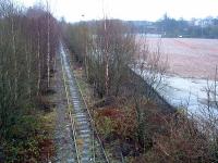 The site of the new Alloa station after demolition of the Alloa Brewery but before foliage clearance began on the railway.<br><br>[Ewan Crawford 26/12/2002]