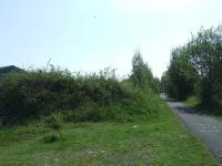 Looking east towards Elderslie West Junction on 14th May. This is the remains of embankment that ran down the hill from Elderslie West Junction to Cart Junction. To the right is the cycle path the runs in places parallel to and in places along the trackbed from Elderslie to Greenock<br><br>[Graham Morgan 14/05/2008]