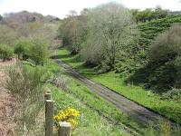 Maggie Bowies Glen on the Waverley Route, looking southeast from a viewpoint near the top of Borthwick Bank in May 2008. From here the trackbed takes a wide sweep round to the right, heading in the general direction of Tynehead Station.<br><br>[Mark Poustie 05/05/2008]