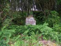 Hidden in the undergrowth, a chimney stack is all that remains of Killin Junction West signal box.<br><br>[John Gray 23/07/2008]