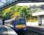 Evening sunshine at North Queensferry catches the colourful hawthorn and broom.  A Fife Circle train leaves for Inverkeithing and the darkness of the tunnel ahead.<br><br>[Brian Forbes 24/05/2008]